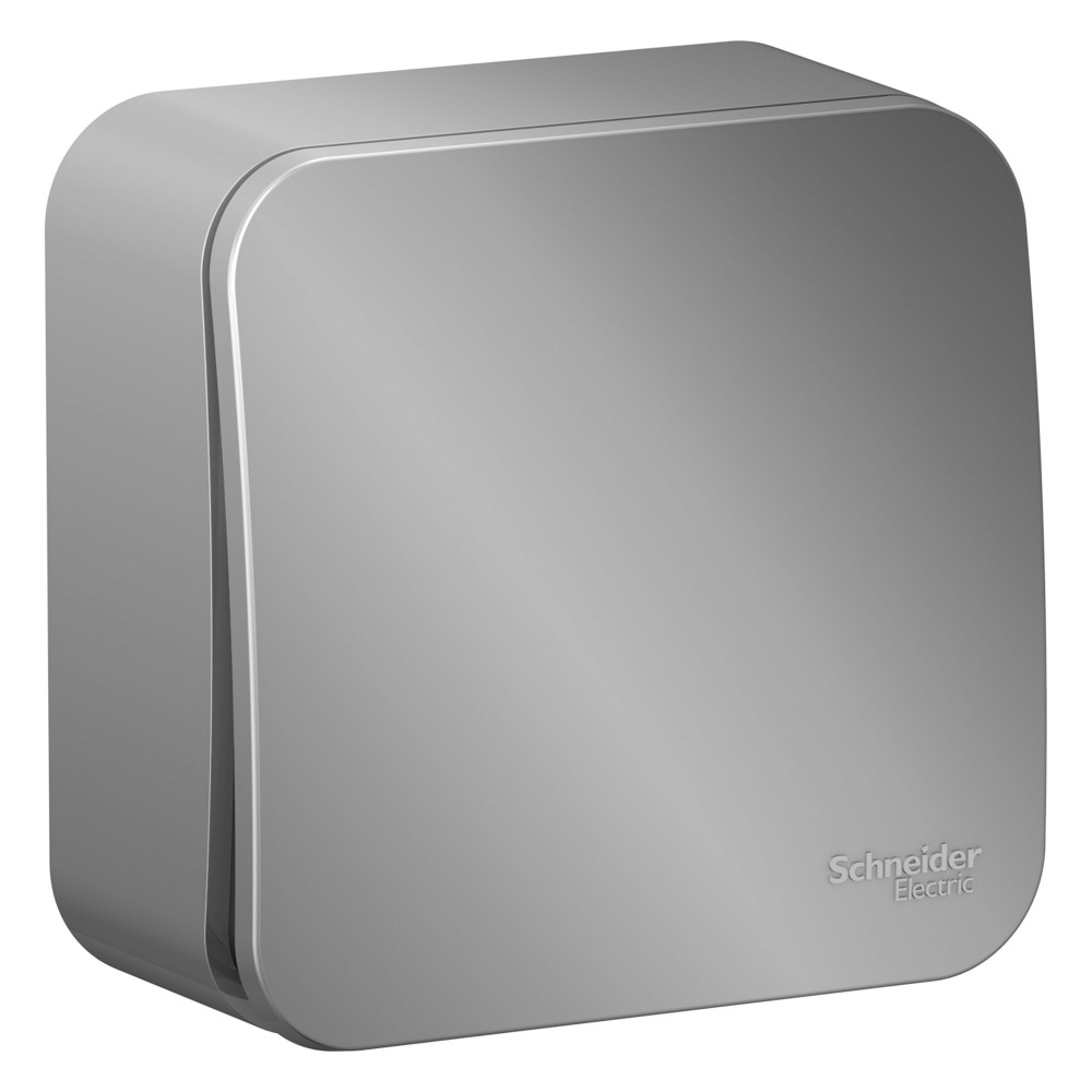 Алюминий выключатель 1-кл. ОП Blanca 10А IP20 (сх. 1) 250В SE BLNVA101003 (15)