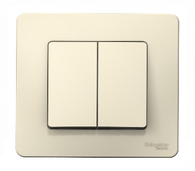 Выключатель Молочный Скрытой установки 2-х клав BLANCA Schneider (10)