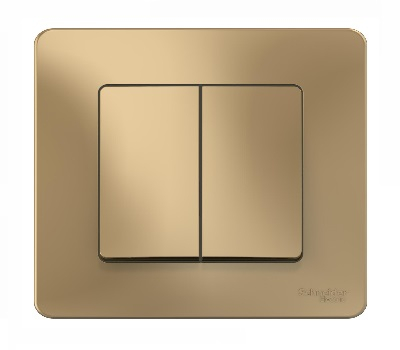 Выключатель Титан Скрытой установки 2-х клав BLANCA Schneider (10)