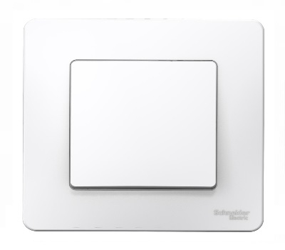 Выключатель Белый Скрытой установки 1 клав BLANCA Schneider (10)