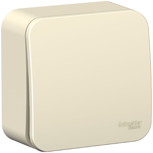 Молочный выключатель ОУ 1-кл. изолирующей пластиной BLANCA  (15)