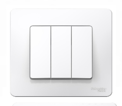 Выключатель Белый Скрытой установки 3-х клав BLANCA Schneider (10)