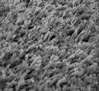 Ковер sh34о серый 2x3 м (524) овал