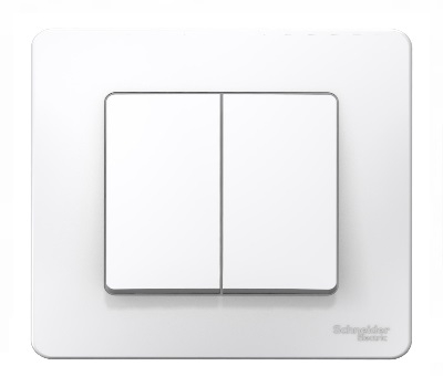 Выключатель Белый Скрытой установки 2-х клав BLANCA Schneider (10)