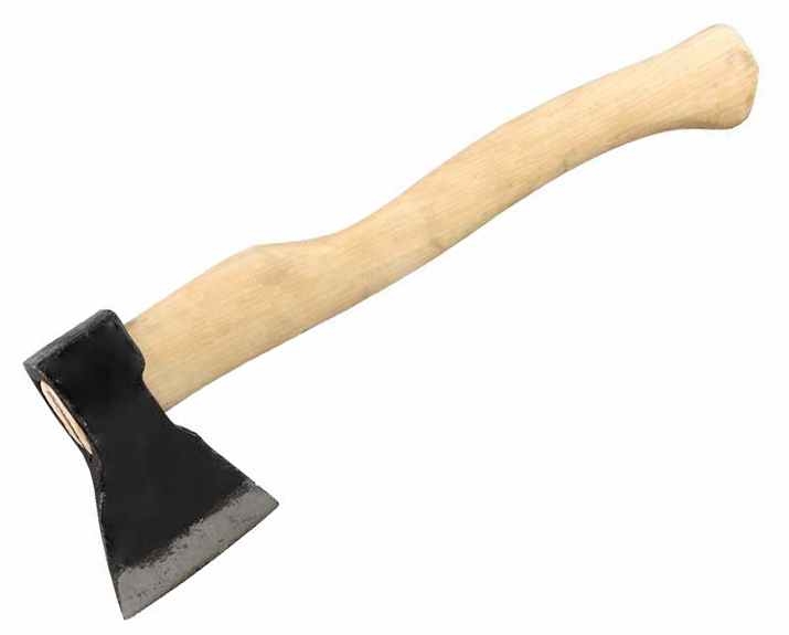 Топор кованный, в сборе, 600/850 г, деревянное топорище, 350 мм, Б1, (Труд) г. Вача// Россия